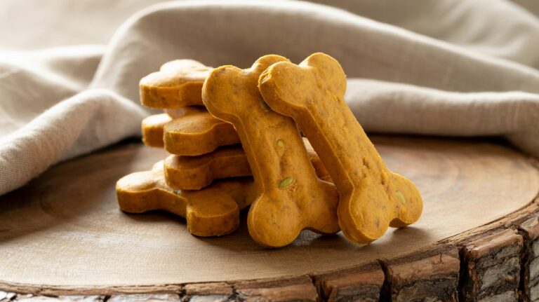 Dog Pumpkin Treat